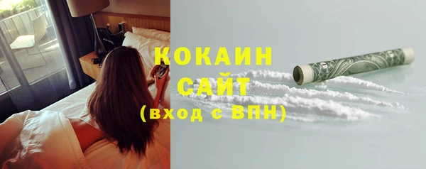 хмурый Болотное
